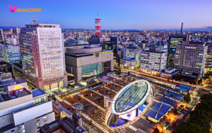 Tinh-aichi